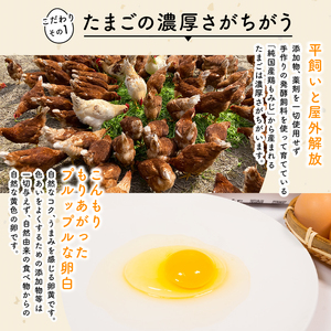 定期便 平飼い有精卵 滋賀竜王卵 20個×12ヵ月