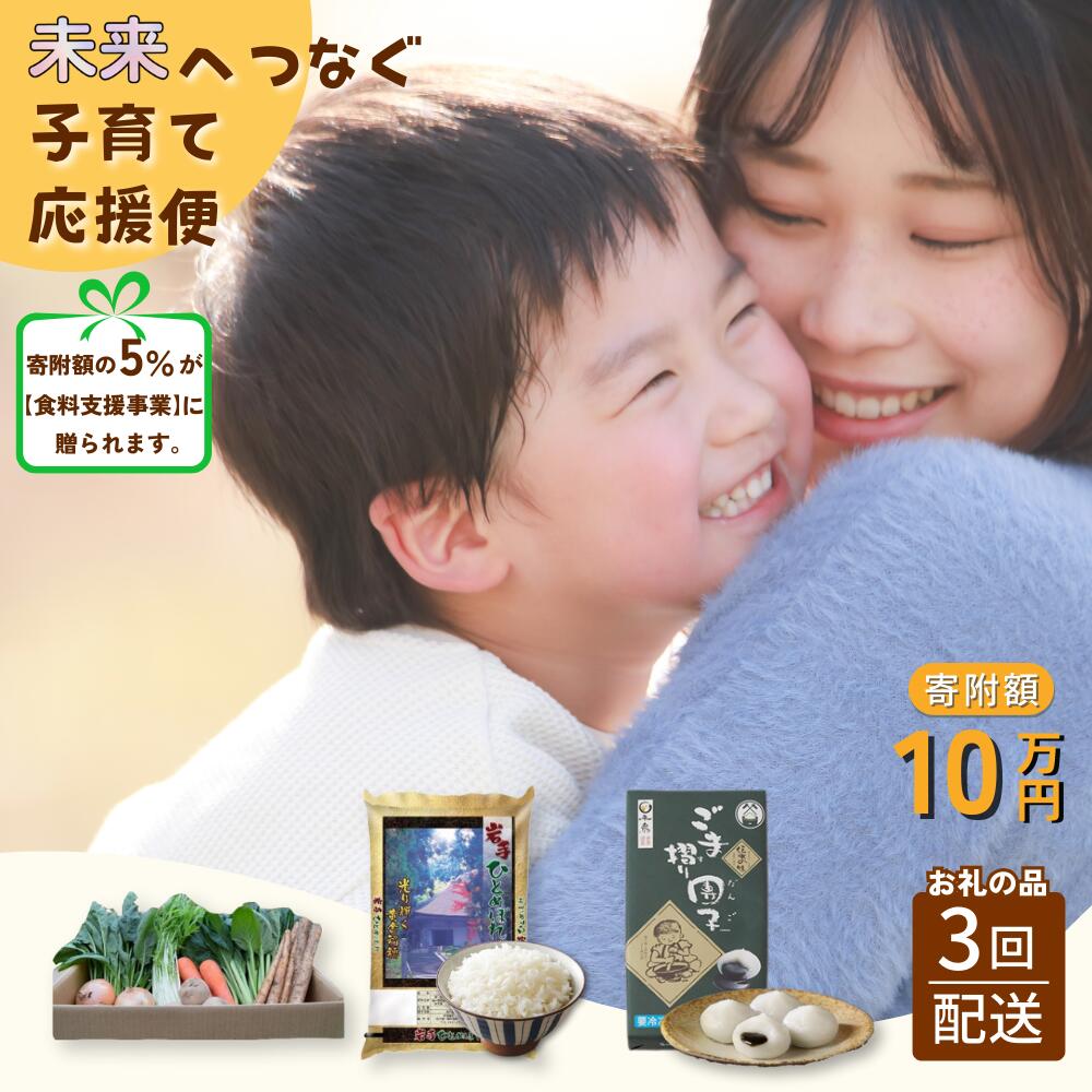 【ふるさと納税】未来へつなぐ子育て応援便 10万円コース 寄附額の一部をフードパントリー事業へ贈呈 SDGs×ふるさと納税 食料支援 年3回返礼品をお届け 一関市 岩手県