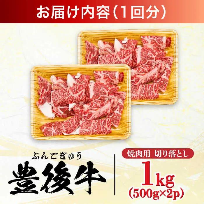 【全12回定期便】【訳あり】おおいた豊後牛 焼肉 切り落とし 1kg(500g×2P)  豊後牛 牛肉 焼肉 切り落とし 大分 冷凍 訳あり  [AREI136]