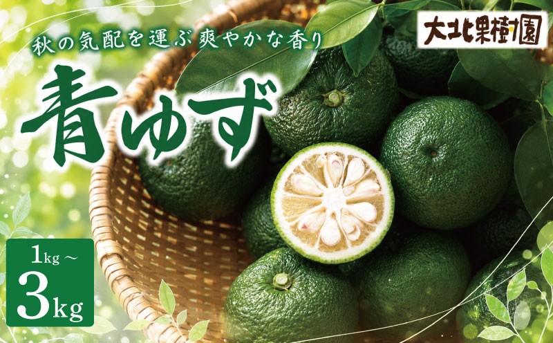 
                  ゆず 柚子 青柚子 1kg 2kg 3kg ゆず玉 青ゆず ユズ 産地直送 みかん 夏 フルーツ 果物 薬味 柚子胡椒 果皮 果汁 ゆず ジャム マーマレード 鍋 そうめん ゆず酒 果実酒 シロップ 魚料理 麺類 青柚子 8月 9月 健康 美容 ビタミン 柑橘 ゆず yuzu 果物類 数量限定 期間限定 農家直送 ゆず おすすめ 大北果樹園 安芸市 高知県 【2026年8月下旬～】
                