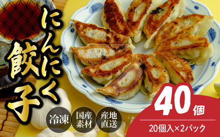 餃子 にんにく餃子 40個 | ぎょうざ 冷凍 北本フーズ