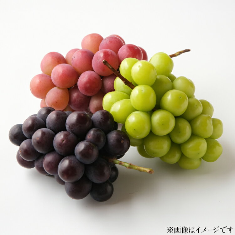 【ふるさと納税】【期間限定発送】 ぶどう 詰め合わせ 5房 約3.5kg [tk06ayt190004 山形県 高畠町 Hinataぶどう園] ぶどう ブドウ 葡萄 大粒 シャインマスカット ピオーネ 藤稔 コトピー 安芸クイーン ゴルビー くだもの 果物 フルーツ セット