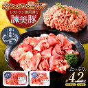 【ふるさと納税】諫美豚切り落としひき肉セット計4.2kg / 豚 豚肉 切り落とし ひき肉 小分け / 諫早市 / 株式会社土井農場 [AHAD059]