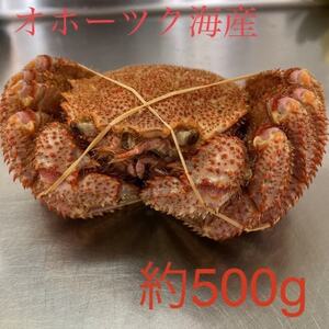 オホーツク産　浜茹で毛蟹　約500g×1パイ　冷凍便【配送不可地域：離島】【1397895】