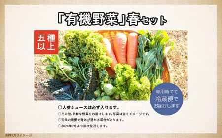 《2026年5月より順次発送》季節の有機野菜「春セット」｜ 野菜 福島県 二本松市【一般社団法人二本松有機農業研究会】