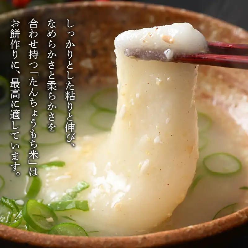 【令和7年産】たんちょうもち米 5kg 精米 ≪希少！お餅作りに最良≫ ／ 餅 タンチョウ 餅つき 丸餅 柏餅 [aw064-a021]