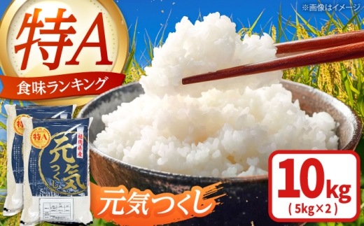 【令和7年産】福岡県産 ブランド米 元気つくし 白米 10kg(5kg×2袋) 吉富町/株式会社ゼロプラス [BGAA092] 米 お米 白米 米 精米 白米 はくまい こめ げんきつくし 米 10kg 精米 ブランド米 国産 福岡県産