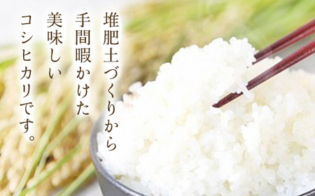 【令和6年新米先行予約/10月発送開始】＼3か月 定期便／高本さんちのコウノトリ育む農法(農薬不使用)のお米 3.5kg×1袋×3か月【白米/玄米】 AS2DD3