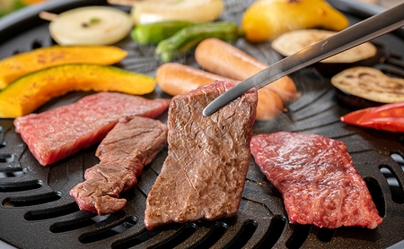 淡路牛 赤身 焼肉用 セット 1kg 500g×2P 肉 牛肉 和牛 国産 焼肉 兵庫県 洲本市 淡路島