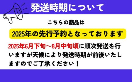 【2024年 先行予約】日本一の産地山梨県産　朝採れ桃２kg(５～８玉）