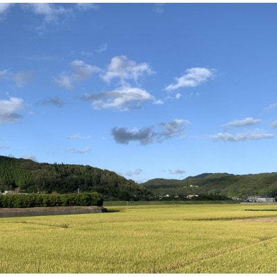 【令和7年産】新米・精米　きぬむすめ5kg＆いちご詰合せ(約280g×2パック)【配送不可地域：離島・北海道・沖縄県】