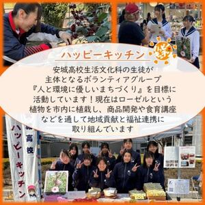 デンパーク入園券2枚+ローゼルジェラート引換券2枚+パン作り体験1枚+ソーセージ引換券/愛知県安城市【1686738】