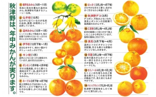 季節毎の柑橘ジュース500ml×12本セット / 和歌山 和歌山県産 田辺市 温州みかん 不知火 デコポン バレンシアオレンジ みかんジュース 100％ジュース オレンジジュース【ktr016-2】