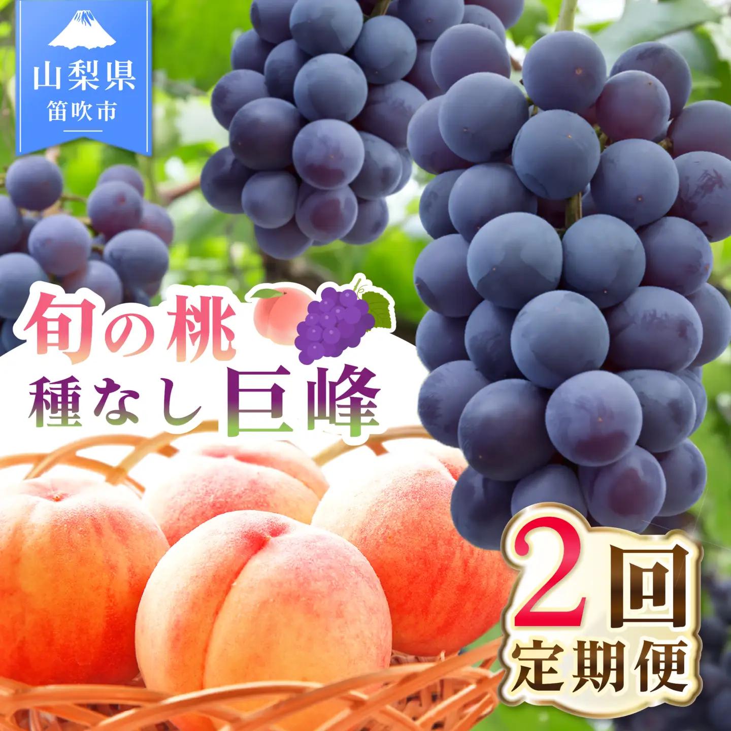 【2027年発送★先行予約】2回定期便 旬のフルーツ定期便（桃2㎏・種無し黒葡萄2～3房）180-009-27y