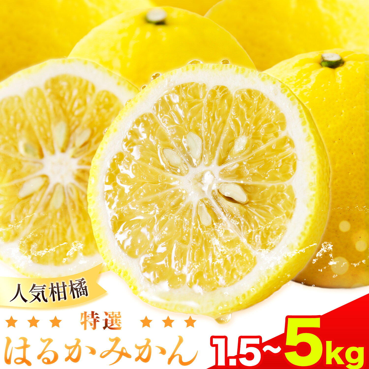 【ふるさと納税】【人気柑橘】 特撰 はるかみかん 選べる 約1.5kg 約3kg 約5kg 有田マルシェ《1月中旬-2月下旬頃発送予定》和歌山県 日高町 国産 みかん 柑橘 果物 フルーツ ギフト 送料無料