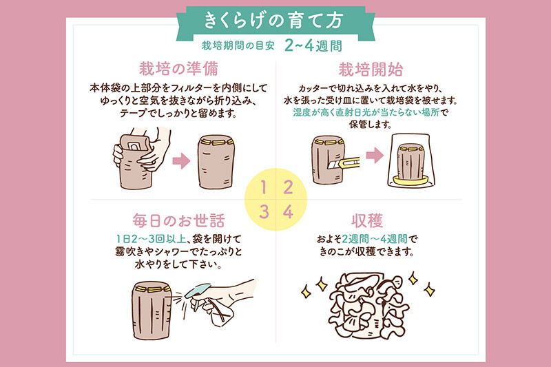 《夏季限定》きくらげ栽培キット 2種類セット もりのきくらげ農園／白いきくらげ農園 [木耳 きくらげ キクラゲ]