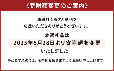 神内マンゴー 350g以上 2玉入り 【2025年7月下旬～2025年9月下旬発送】 果物 フルーツ マンゴー アーウィン 家庭用 北海道 浦臼町