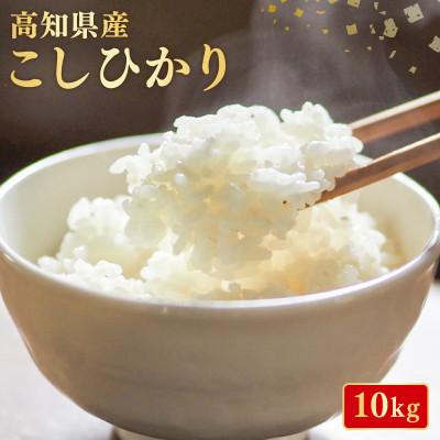 ふるさと納税 安芸市 こしひかり 10kg 令和7年産 白米
