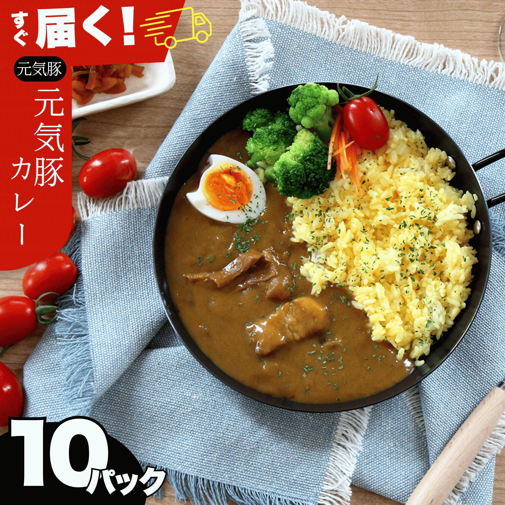 千葉県産三元豚使用 元気豚 レトルトカレーセット 200g×10袋