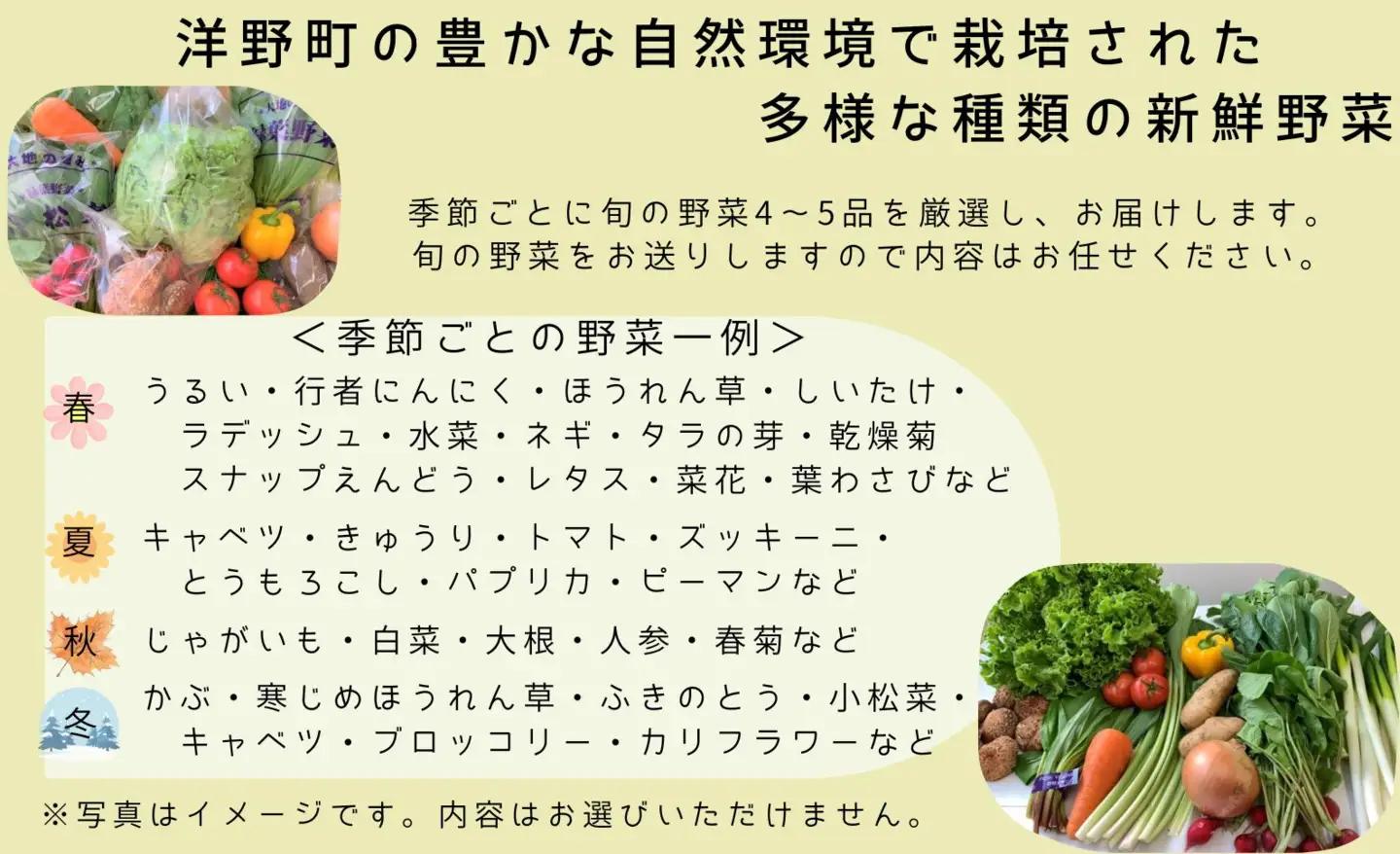 【3ヵ月定期便】季節のお野菜おまかせセット（4～5品程度）
