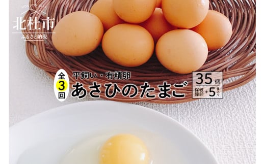 【定期便3か月】平飼い・有精卵　あさひのたまご35個+破卵保障5個入り