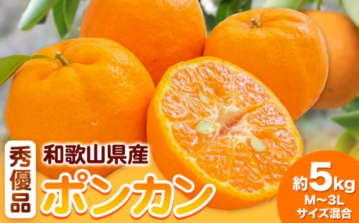 和歌山県産ポンカン 約 5kg 秀優品 (M～3Lサイズ混合) 厳選館 《2027年2月上旬-3月上旬頃出荷》和歌山県 日高川町 柑橘 ポンカン ぽんかん フルーツ 秀品 優品
