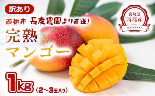 今が旬！【長友農園】訳あり家庭用完熟マンゴー1kg 2～3玉 宮崎県西都 産生産者直送 宮崎県 完熟マンゴー＜1.2-59＞