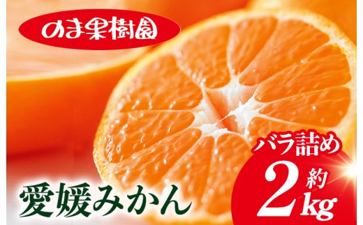 ＼特別寄附額実施中！／【先行予約】愛媛みかんバラ詰め（2kg）[K003670K2] 人気商品 国産 高級フルーツ 人気商品 みかん 柑橘 フルーツ 果物 乃万青果 のま果樹園 温州みかん