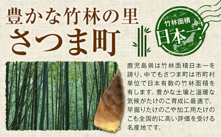 たけのこ 4kg 約4~10本 弐番屋《3月下旬-4月下旬頃出荷》鹿児島県 さつま町 筍 タケノコ