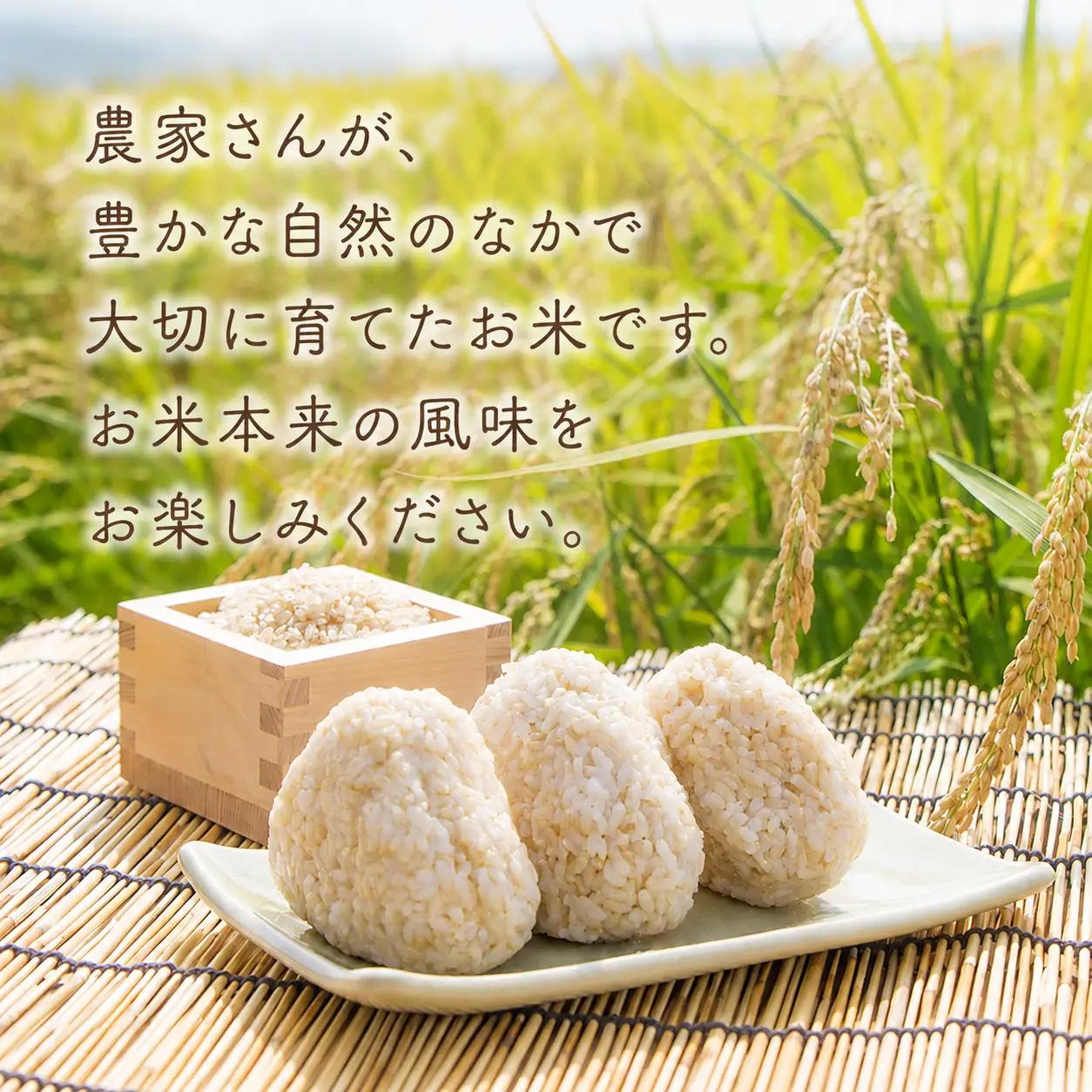 先行受付 令和8年産 玄米 5kg【玄米】