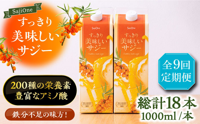
                  【全9回定期便】美味しいサジーが毎月届く！すっきり美味しいサジー 1000ml×2本《豊前市》【ハウスボトラーズ】[VAX042] サジージュース 飲料 ドリンク サジー 健康 美容 ビタミンC 鉄分 ジュース スーパーフルーツ さじー 紙パック 飲みやすい
                