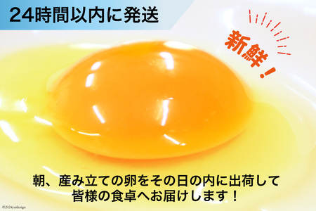 BI025 雲仙たまごLサイズ  80個 (10個入り×8パック)(75個＋割れ補償5個入り) [長崎県 島原市]