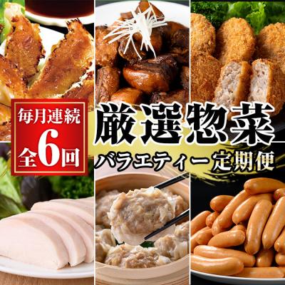 ふるさと納税 いちき串木野市 【6か月定期便】鹿児島協同食品バラエティ定期便
