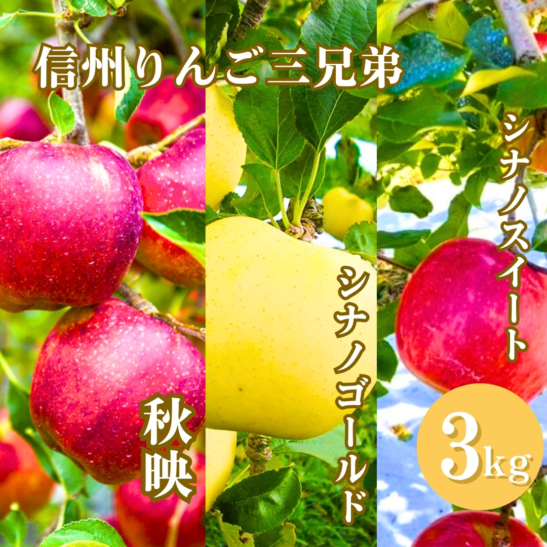 りんご３種詰め合わせ りんご三兄弟（秋映・シナノスイート・シナノゴールド）計約3kg | 林檎 あきばえ 食べ比べ セット 千曲市 長野県産 信州