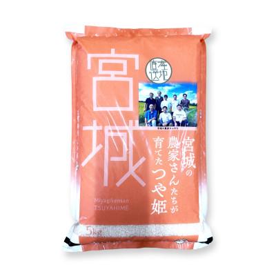 ふるさと納税 栗原市 つや姫 5kg 宮城県栗原市