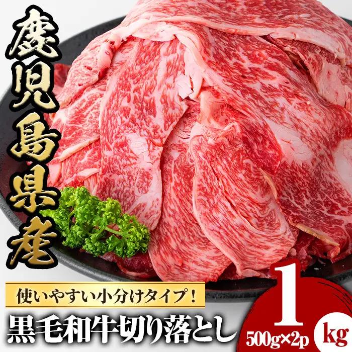 鹿児島県産 黒毛和牛 切落し 計1kg 【さつま屋産業】 牛肉 切り落とし_y427