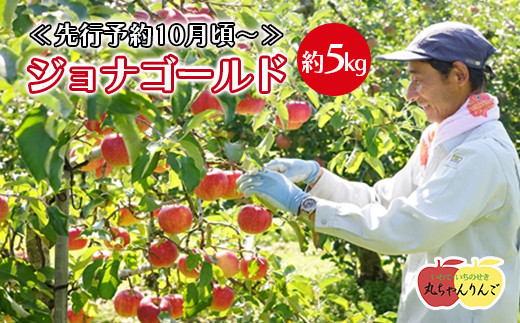 
            家庭用 りんご ジョナゴールド 約5㎏ ≪先行予約10月頃～順次発送≫
          