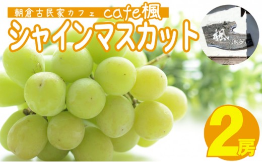 
                  シャインマスカット 2房 Cafe楓 シャイン マスカット ぶどう ブドウ 果物 フルーツ デザート 
                