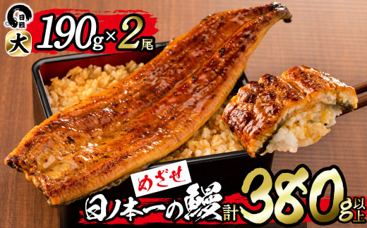 日ノ本一の鰻の蒲焼き＜大＞2尾(計380g以上) b1-018