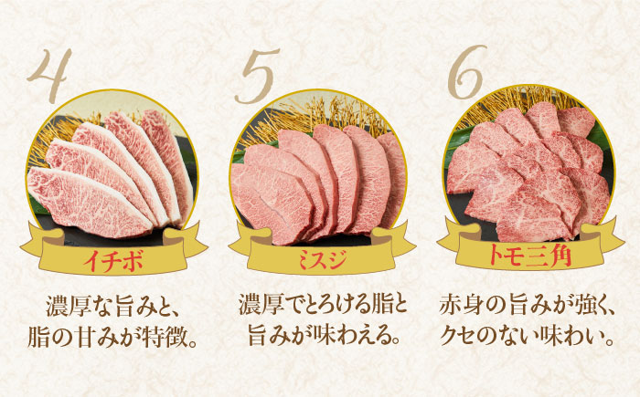【希少部位で焼肉を堪能！】佐賀牛希少部位おまかせ4種バラエティセット800g（4種×200g）【ミートフーズ華松】 [FAY041]