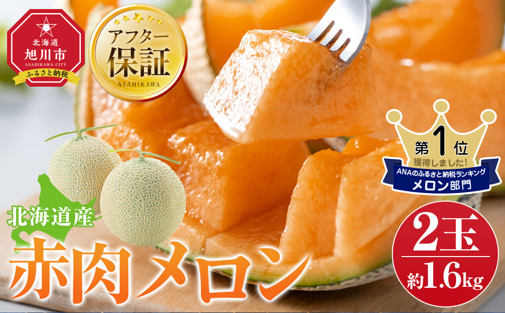 【先行予約】 北海道産赤肉メロン約1.6kg×2玉 (2024年7月中旬から発送予定) 【 果物 くだもの フルーツ メロン 赤肉 赤肉メロン 旬 お取り寄せ 甘い 北海道産 旭川市 北海道 送料無料