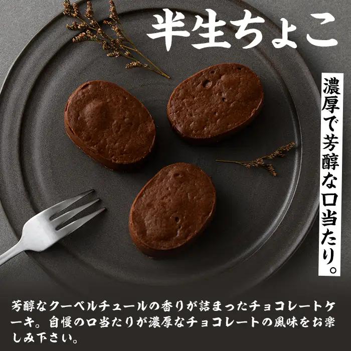 【ふるなびWEEK対象】半生ちーずケーキ10個・半生ちょこケーキ10個  計20個 詰合せ ケーキ【00-014-13-FN】