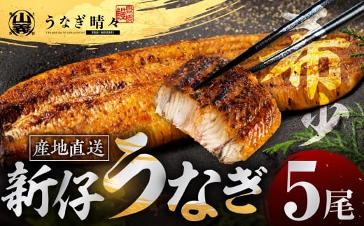 山義養魚の『うなぎ晴々』 5尾 希少  豊橋うなぎ 蒲焼 厳選 国産 新仔うなぎ 若うなぎ 鰻 簡易包装 ウナギ うなぎ 鰻 蒲焼 ギフト ひつまぶし 土用丑の日 ギフト 冷凍  丑の日 簡単調理 豊橋うなぎ お取り寄せ 送料無料
