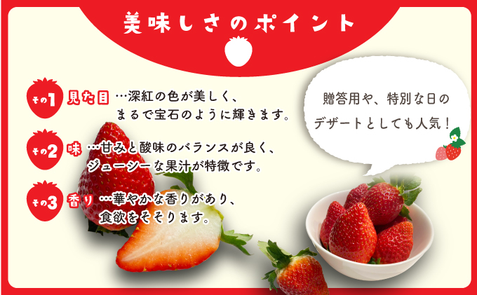佐賀県産いちご 「いちごさん」 480g (240g×2P) 34an-0001