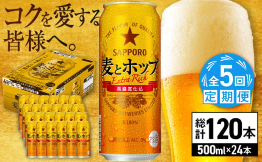 【全5回定期便】サッポロ 麦とホップ 500ml×24缶 合計120缶 日田市 / 株式会社綾部商店　ビール サッポロ お酒 酒 日田[ARDC136]