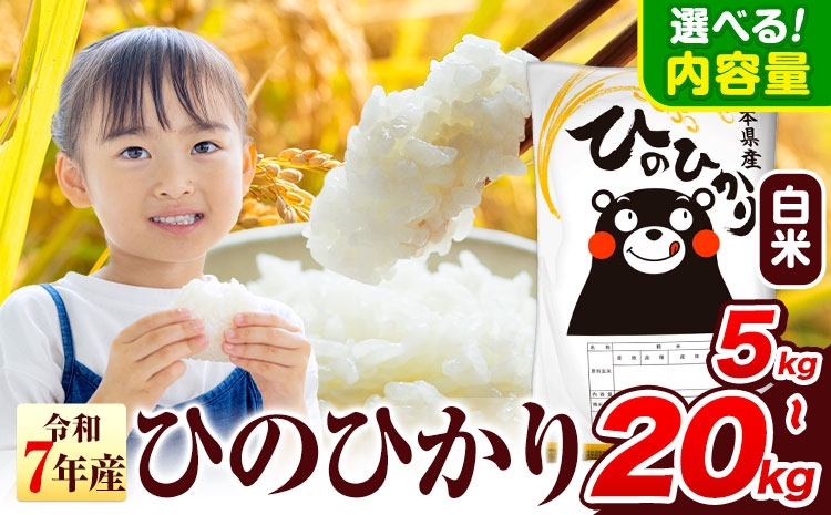 
                  令和7年産 ひのひかり 白米 選べる 5kg 10kg 20kg《7-14日以内に出荷予定(土日祝除く)》 熊本県産 白米 精米 氷川町 ひの 送料無料 ヒノヒカリ コメ 便利 ブランド米 お米 おこめ 熊本 SDGs 10kg 米 20kg 米
                