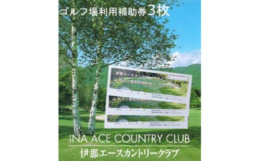 
【010-45】伊那エースカントリークラブ　ゴルフ場利用補助券　3000円分
