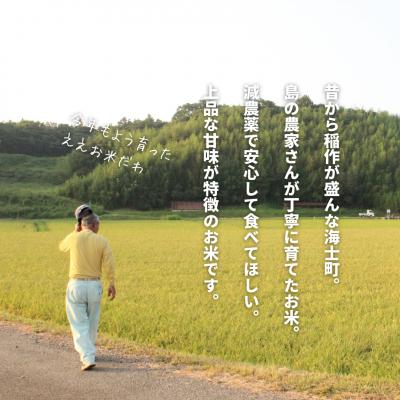 ふるさと納税 海士町 令和7年度産 海士町産きぬむすめ7kg |  | 02