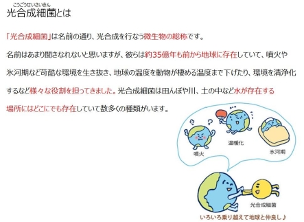光合成細菌RAP99の力で健康を守る　三寿