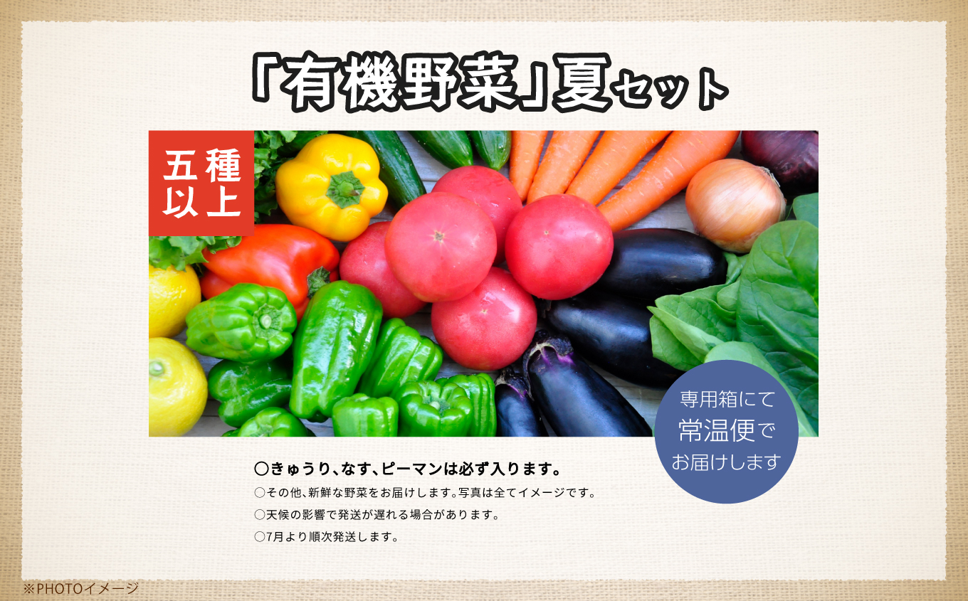 《2025年7月より順次発送》季節の有機野菜「夏セット」【一般社団法人二本松有機農業研究会】